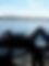 bachuriuk, 37 bachuriuk, 37